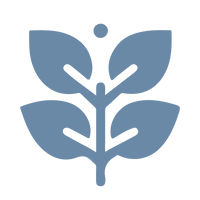 Renew Within. Glow Outside.